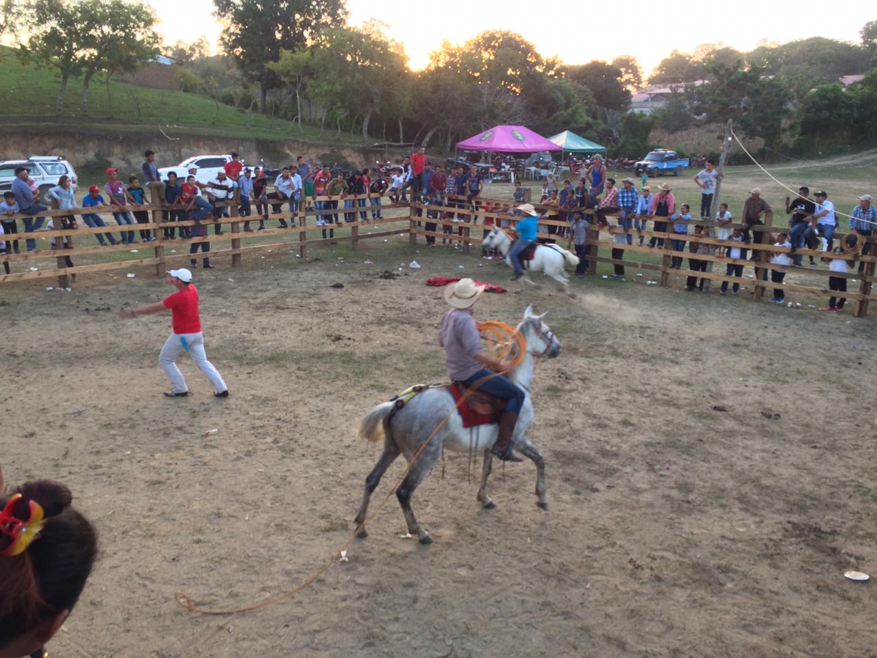 toros1